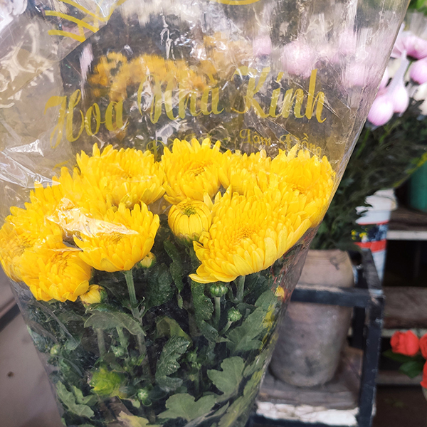 Combo trái cây và hoa cúc vàng